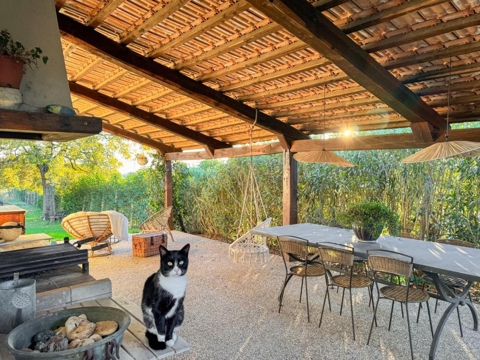 Casale Le Brecce B&B Otricoli Εξωτερικό φωτογραφία