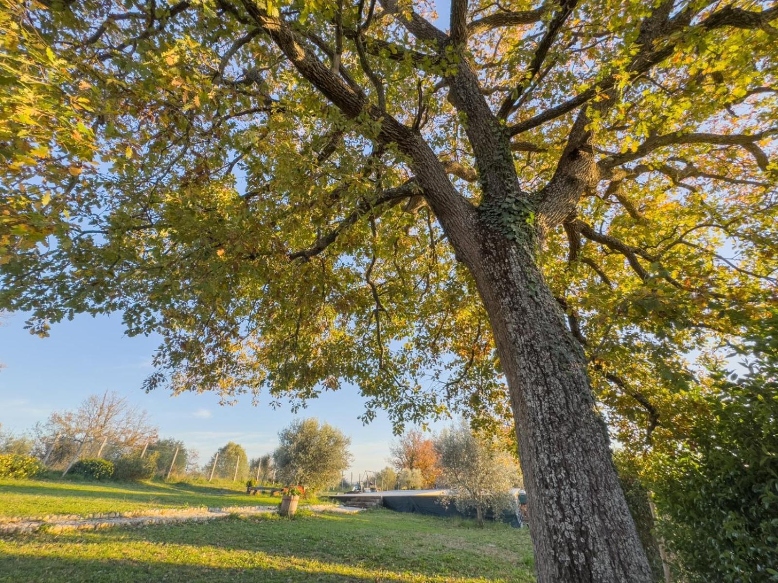 Casale Le Brecce B&B Otricoli Εξωτερικό φωτογραφία